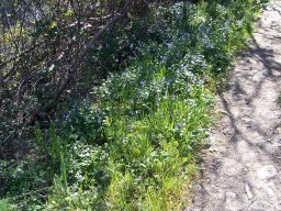 Ciudad de Letur 2008